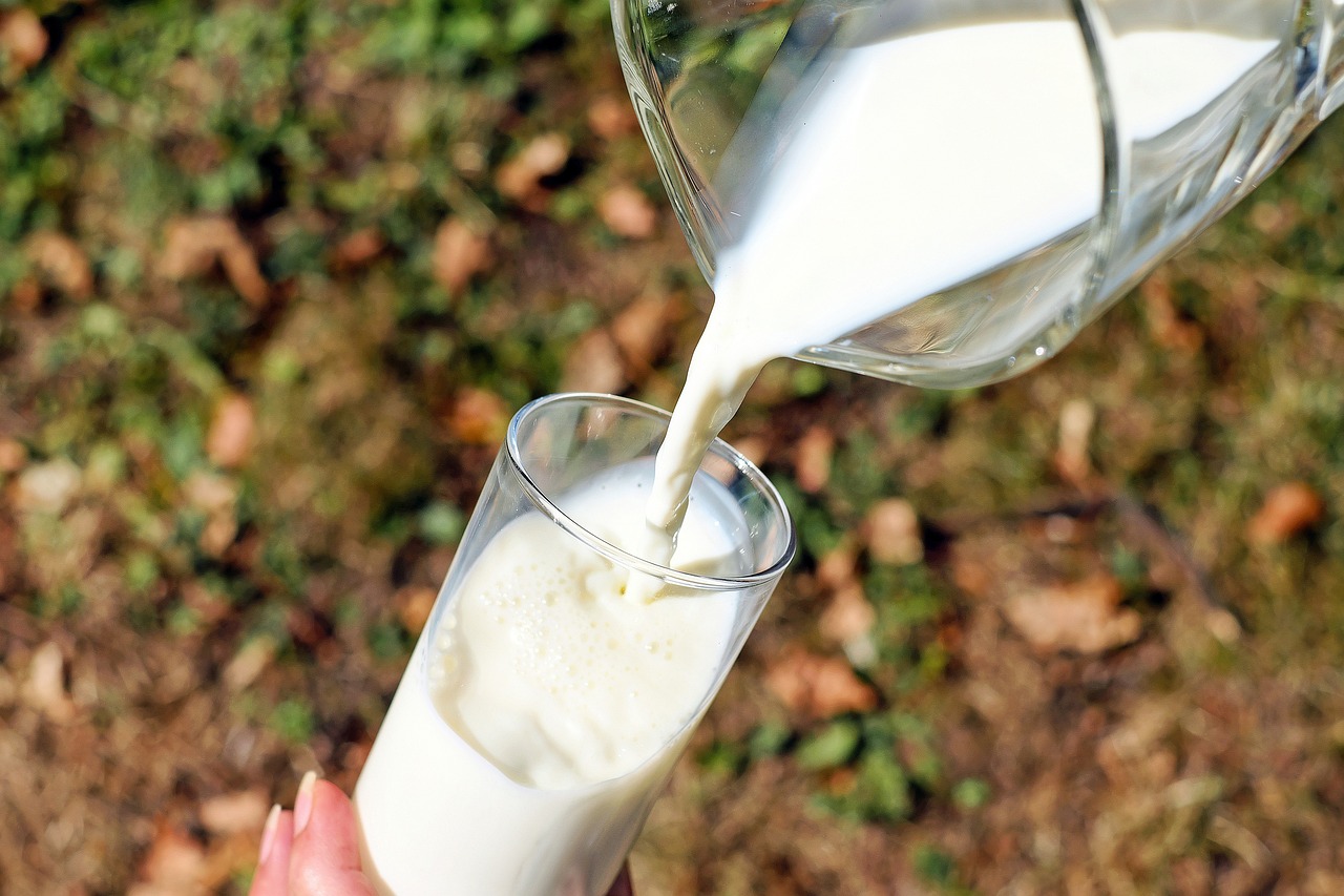 découvrez les bienfaits du lait, une source essentielle de calcium et de vitamines. apprenez comment l'incorporer dans votre alimentation quotidienne pour une santé optimale.