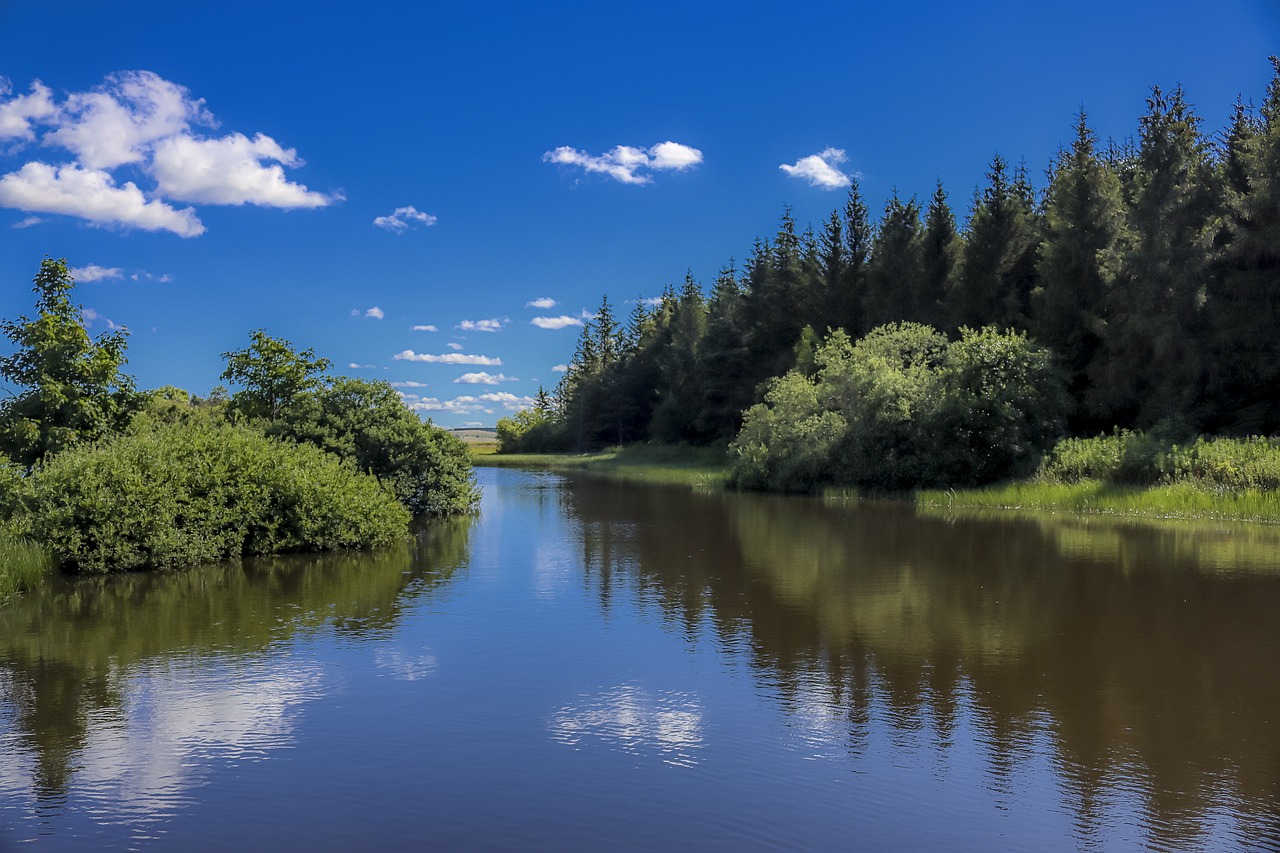 découvrez le fromage bleu d'auvergne, un trésor du terroir français, au goût puissant et au caractère unique. ideal pour sublimer vos plats ou à déguster seul, ce fromage artisanal ravira les amateurs de saveurs authentiques.